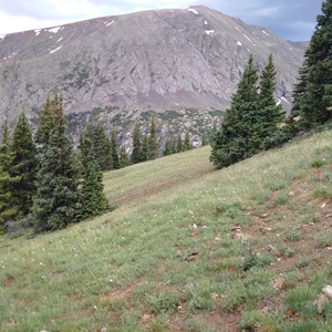 Quandary Peak (10).jpg